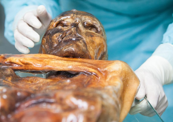 A mummified human body being examined by a researcher
