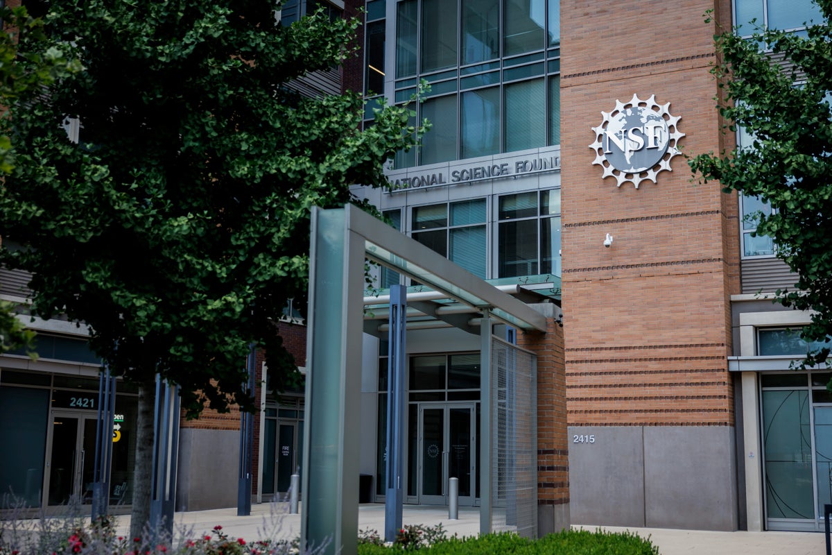 National Academy of Sciences experts denounce Trump’s NSF board purge