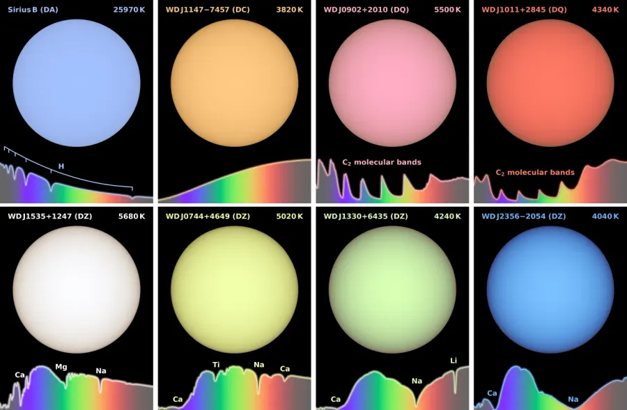 Modeled colors of eight different white dwarfs in a 2x4 grid. From left to right, the four panels of the top row depict white dwarfs in blue, orange, pink, and red. The four panels of the bottom row show white dwarfs in white, yellow, green, and dark blue. 