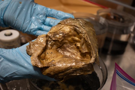 A close-up image of the “golden orb” in the lab of the Smithsonian Institution.