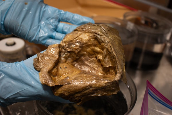 A close-up image of the “golden orb” in the lab of the Smithsonian Institution.