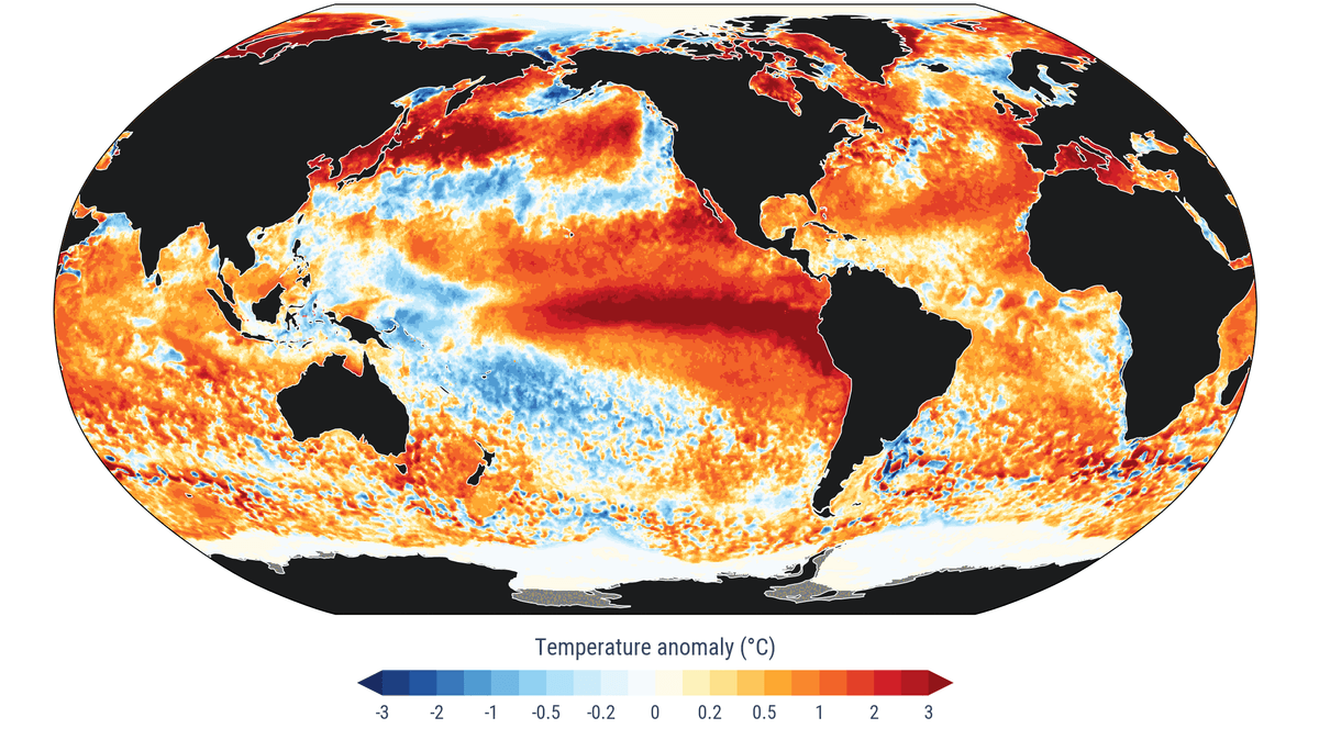 Photograph accompanying The ocean's hottest day on record landed in August, and that is the number that matters