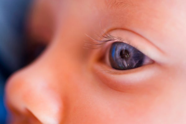 close up of a baby's eye