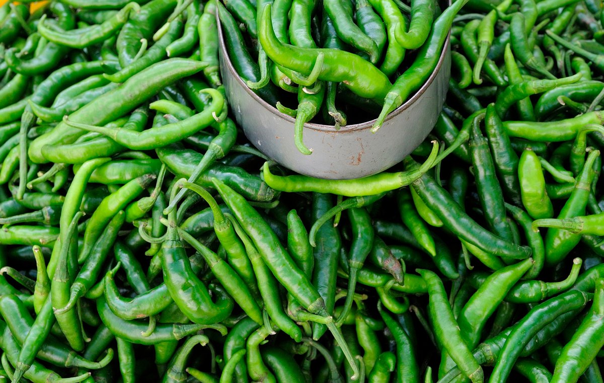 Cyclosporiasis-linked Taylor Farms recalls jalapeños tied to Salmonella outbreak
