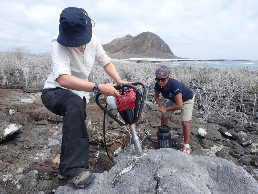 One person stands with a pneumatic drill that is drilling into a gray fossilized coral boulder. Their foot is braced on the boulder, and their face is blocked by a hat. Another scientist crouches behind and watches.