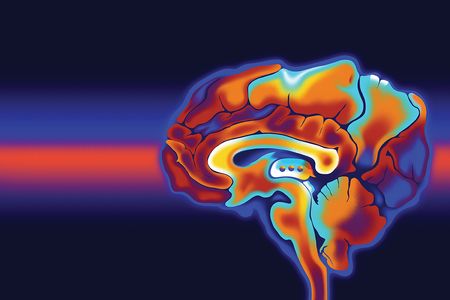 A conceptual abstract illustration of a brain scan by Ollie Hirst.