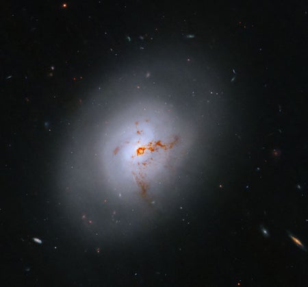This NASA Hubble Space Telescope images reveals the lenticular galaxy NGC 1266. This enigmatic poststarburst galaxy has a bright center and a face that hints at spiral structure, yet it holds no discernible spiral arms.
