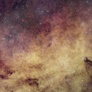 This image by ESA’s (European Space Agency) Euclid (with color added using ground-based images) provides an earlier snapshot of a region of our galaxy that NASA’s Nancy Grace Roman Space Telescope will repeatedly observe during the upcoming years.
