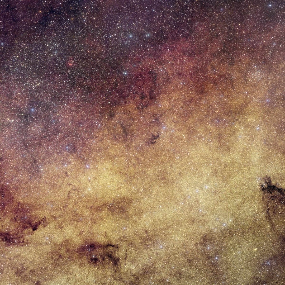 This image by ESA’s (European Space Agency) Euclid (with color added using ground-based images) provides an earlier snapshot of a region of our galaxy that NASA’s Nancy Grace Roman Space Telescope will repeatedly observe during the upcoming years.