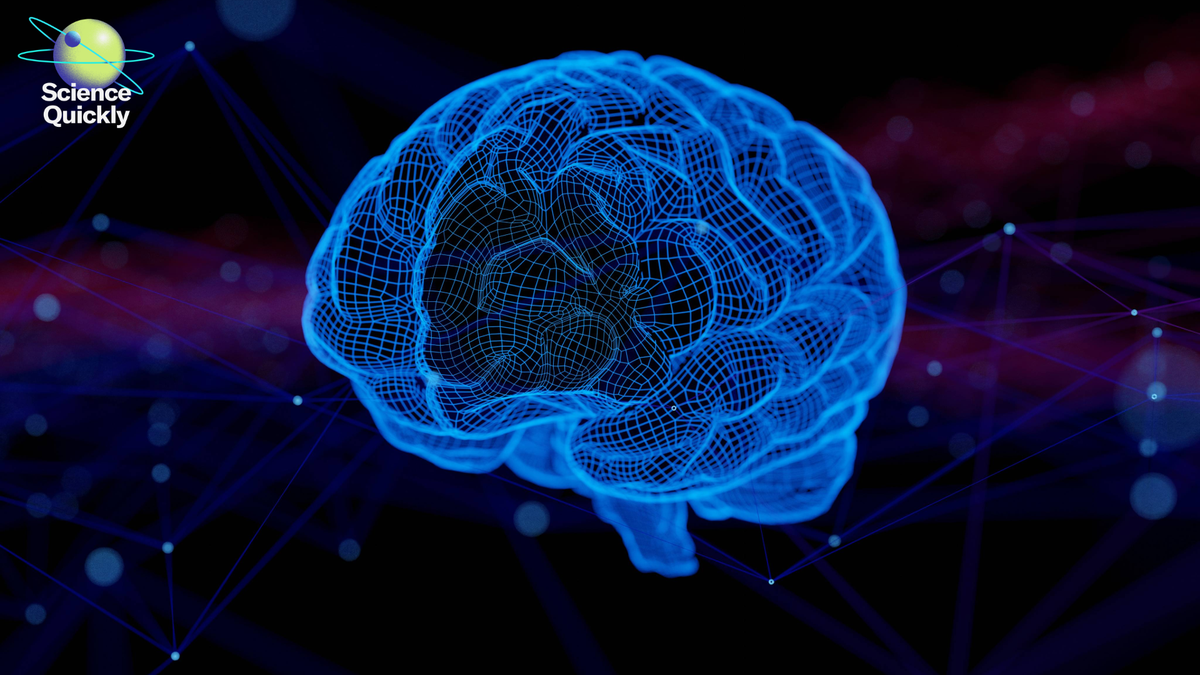 Neuroscientist Kauê M. Costa redefines how the brain learns