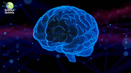 Conceptual image of a human brain against a dark background