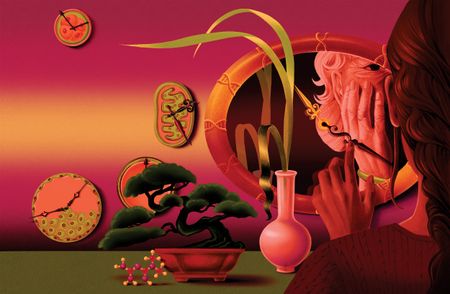 A woman looking at an aged reflection in a mirror with the hands of a clock with various other clocks made from science structures are scattered next to it on the wall by Ada Zejun Shen.