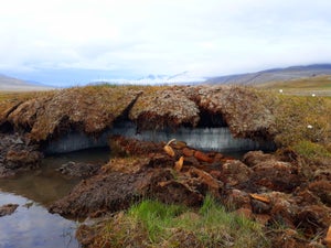 Landscape showing permafrost under the layer of soil