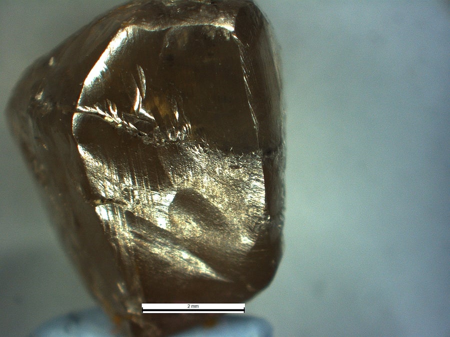 A closeup of a shiny, gold-colored nugget about 2.5 to 3 mm across and 3.5 mm high