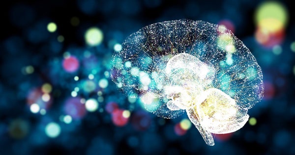 A translucent neural circuit image used in the program and event backdrop, cropped so that the brain is central.