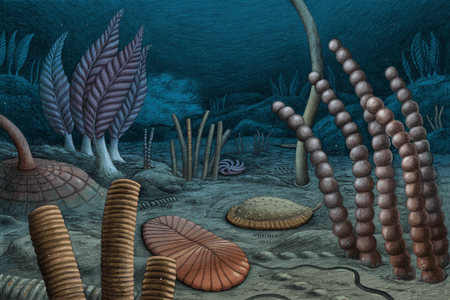 Flat, frondlike and blobby creatures explore or extend from the ocean floor in an illustration.