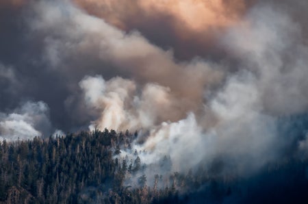 The bottom third of the photo shows a forest, with smoke billowing out, the top two thirds show a gray and orange smoke-filled sky