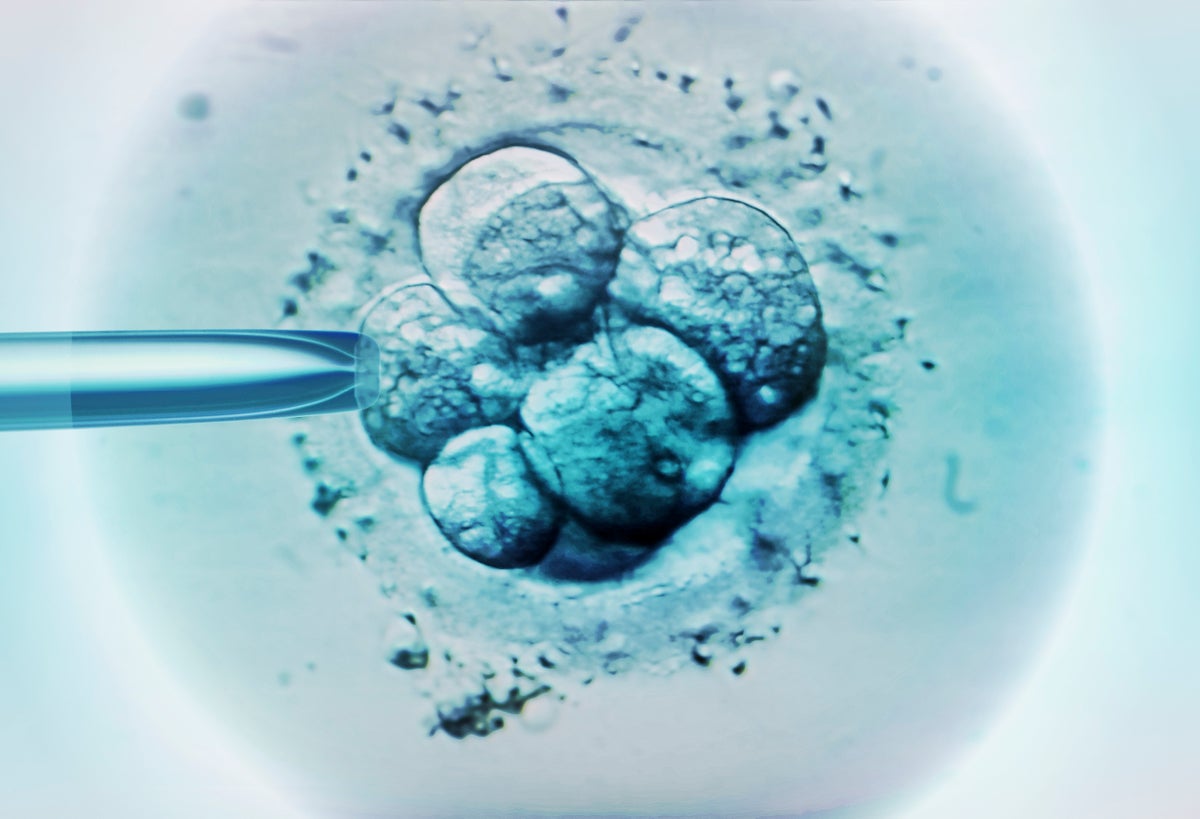 China just launched a bunch of fake human embryos into space on a new research mission