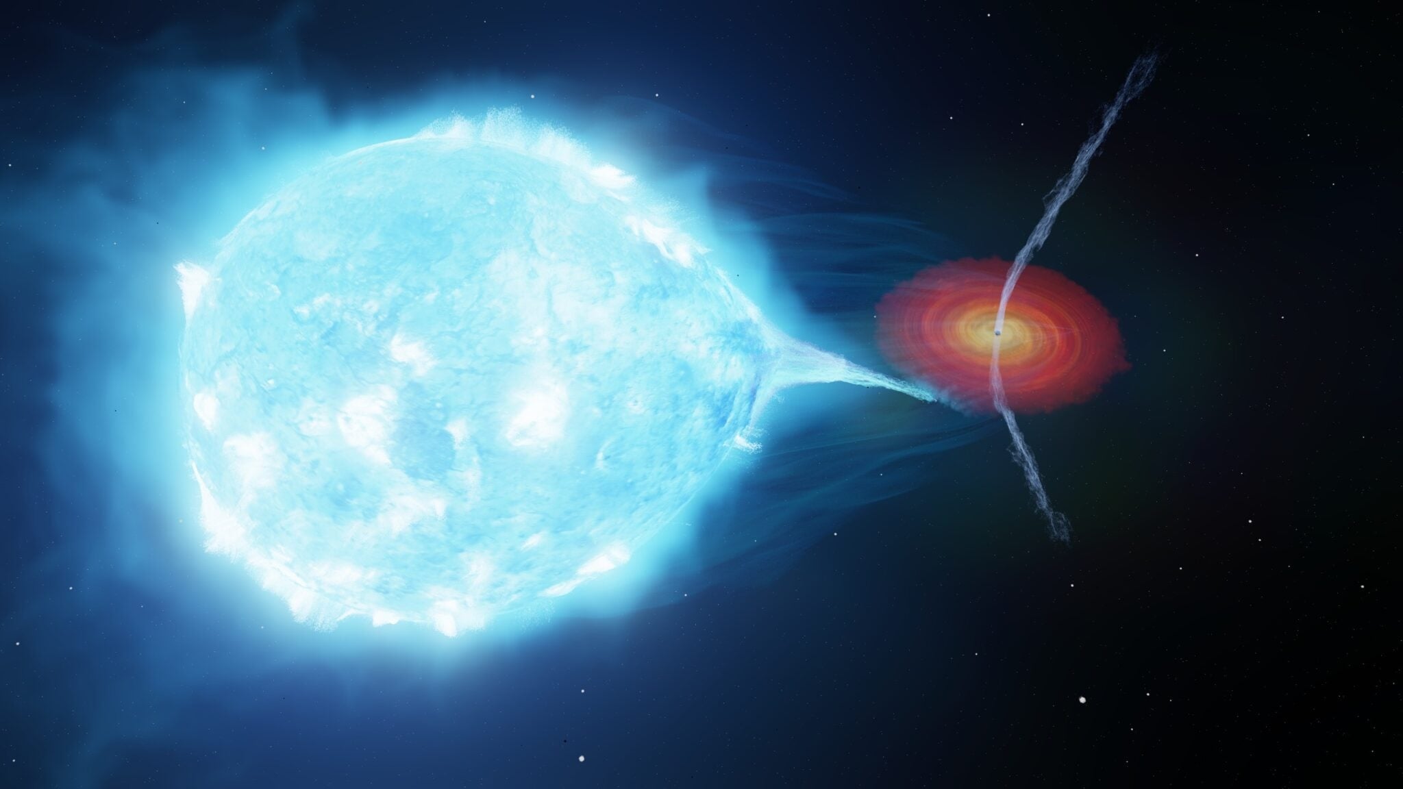 Material from a large blue star is funneled onto a nearby black hole. The black hole is launching jets from its poles that are pushed by the stellar wind from the nearby star.