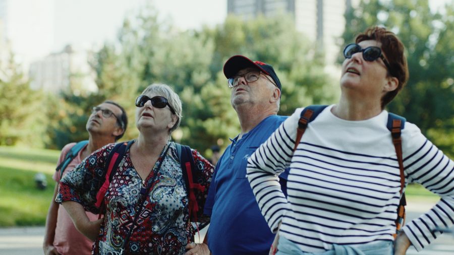 Four adults looking up in a park.