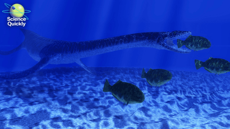 An illustration of a plesiosaur eating a fish