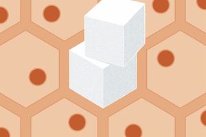 An abstract illustration, by Thomas Fuchs, showing sugar cubes set against a geometric pattern of cells, representing blood sugar and cellular health.