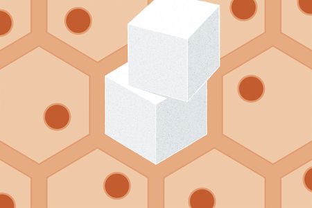 An abstract illustration, by Thomas Fuchs, showing sugar cubes set against a geometric pattern of cells, representing blood sugar and cellular health.