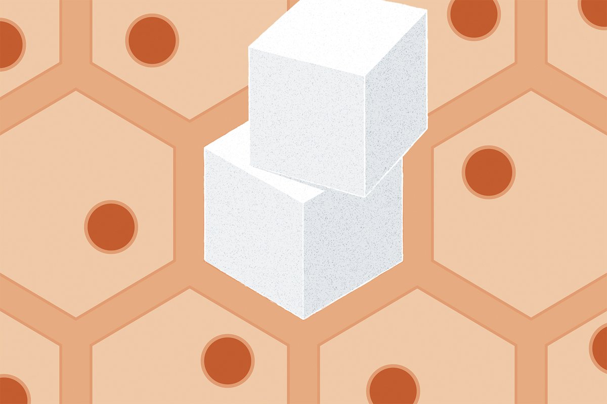 An abstract illustration, by Thomas Fuchs, showing sugar cubes set against a geometric pattern of cells, representing blood sugar and cellular health.