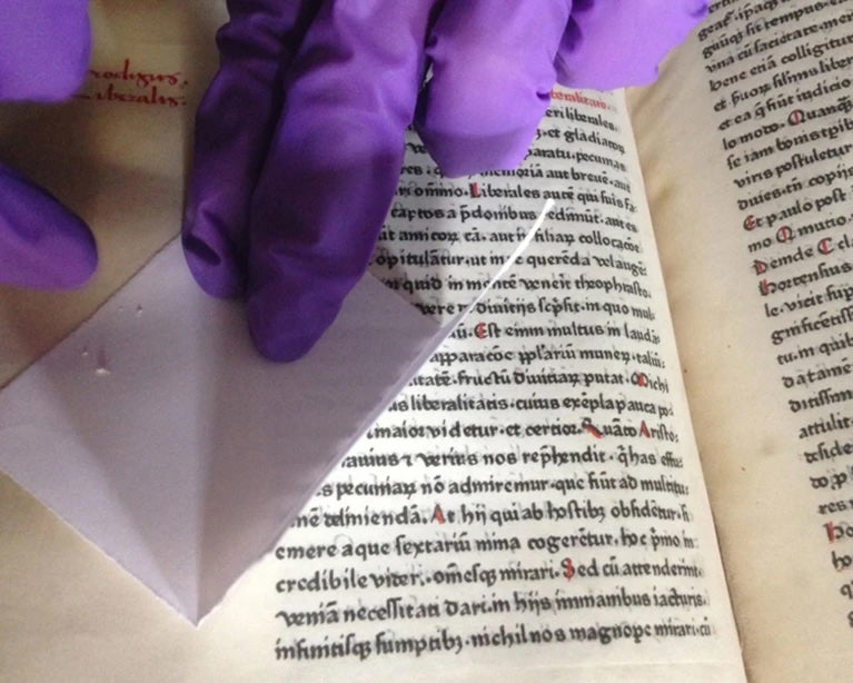 Close up view of demonstrating an example of non-invasive sampling of protein from parchment using eraser crumbs.