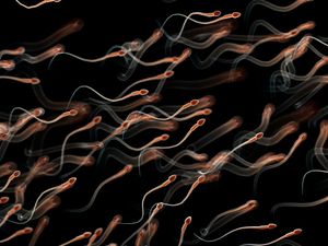 Illustration of human sperm on a black background