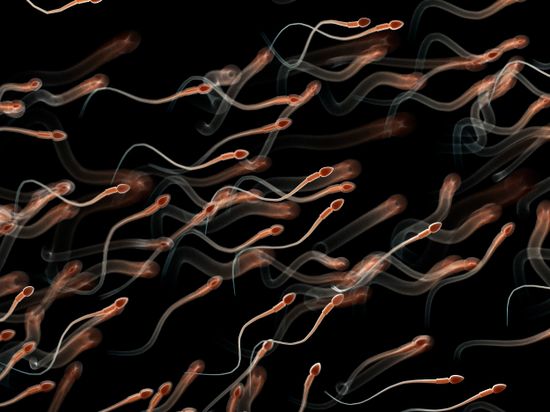Illustration of human sperm on a black background