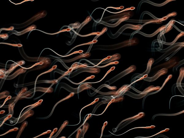 Illustration of human sperm on a black background
