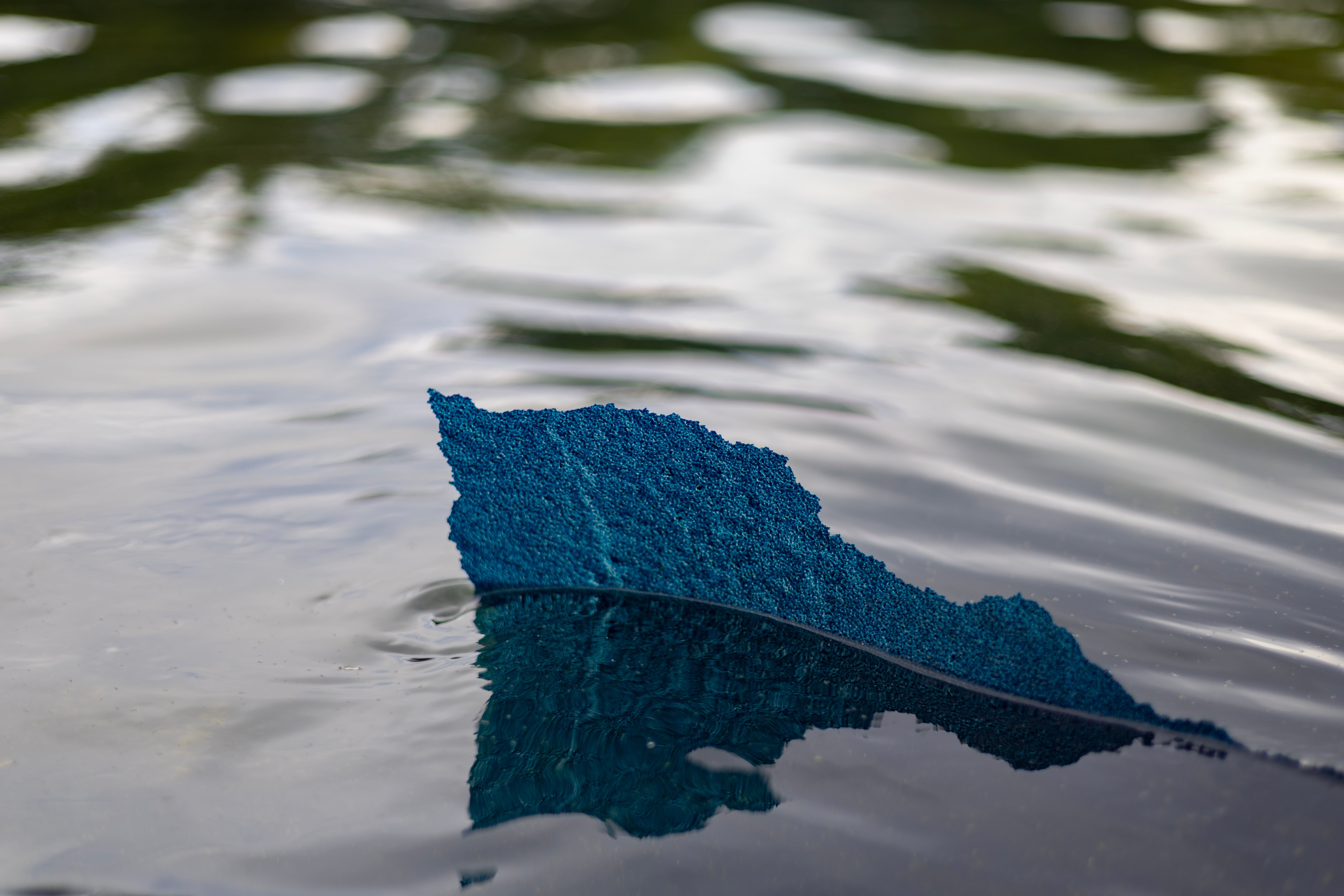 A piece of new blue paint, a part of President Donald Trump’s renovation of the Lincoln Memorial Reflecting Pool, peels off from the bottom of the pool on June 18, 2026, in Washington, D.C.