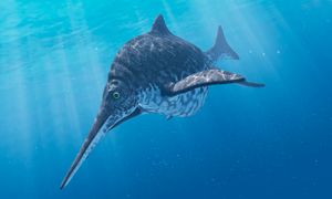 A mottled sea creature that slightly resembles a marlin with a long, pointy snout