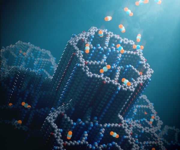 Visualization of COF-999 as a nucleic structure.