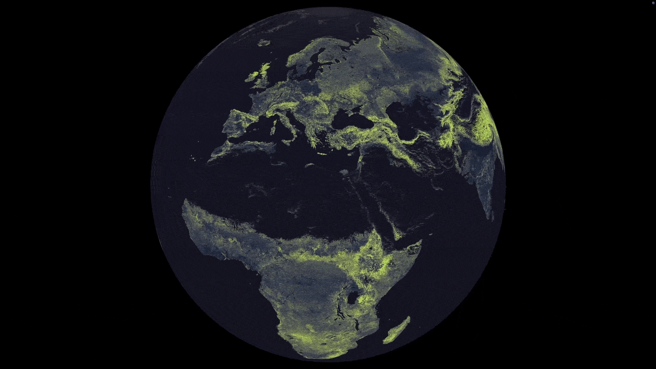 Researchers and data visualization experts plotted the dense map of arbuscular mycorrhizal fungi around the world, down to each square kilometer.