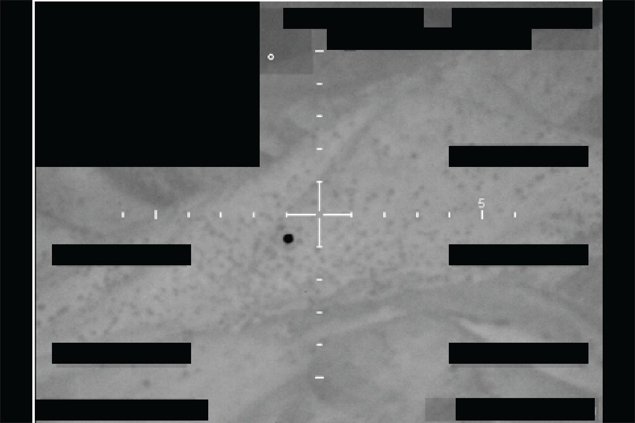 Black-hot infrared image showing a small bright object against a darker sky.
