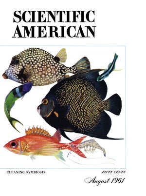 Scientific American Magazine Vol 205 Issue 3