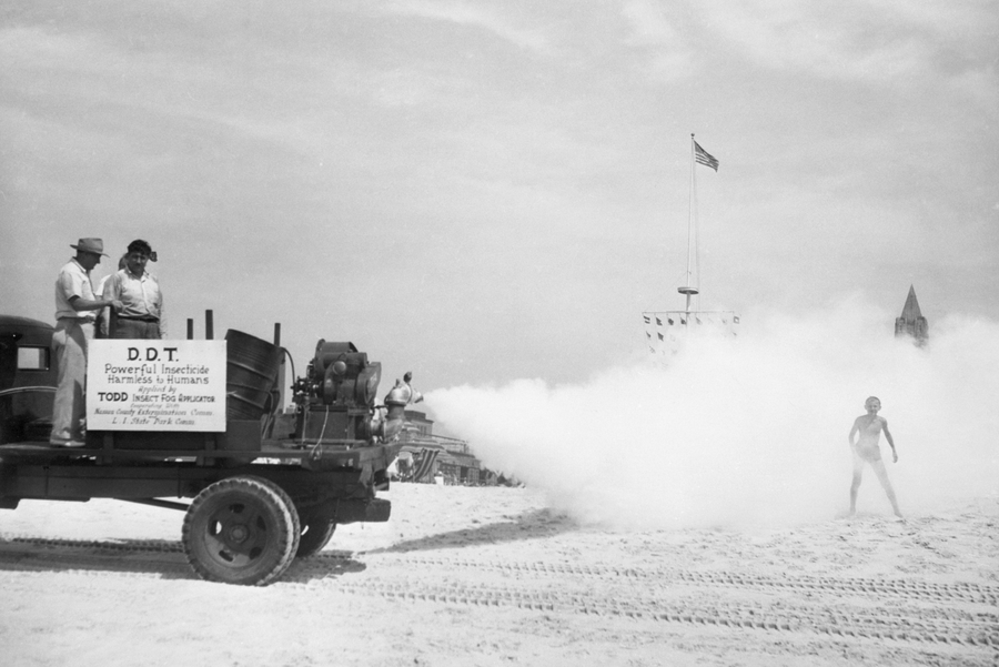 In a black-and-white photo a 1940s-era pickup truck on the left sprays out a white cloud onto a boy wearing swim trunks on a sandy beach. Three men stand on the struck and a sign reads in part, "D.D.T. Powerful Insecticide Harmless to Humans"