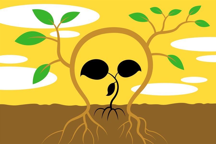 Plants move to get away from their decaying brethren | Scientific American