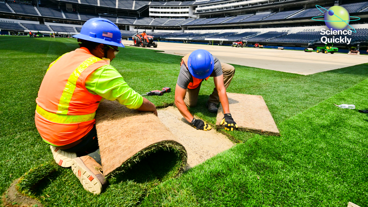 The surprising science behind the 2026 World Cup g