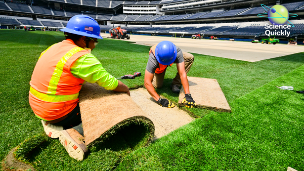 An image of workers installing turf on the World Cup pitch at Los Angeles Stadium