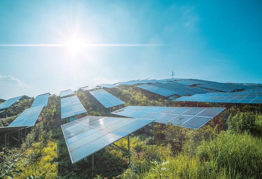 Solar panels seen close up on a green hillside with the sun glinting in the blue sky above. Image provided by Yaorusheng/Getty Images.