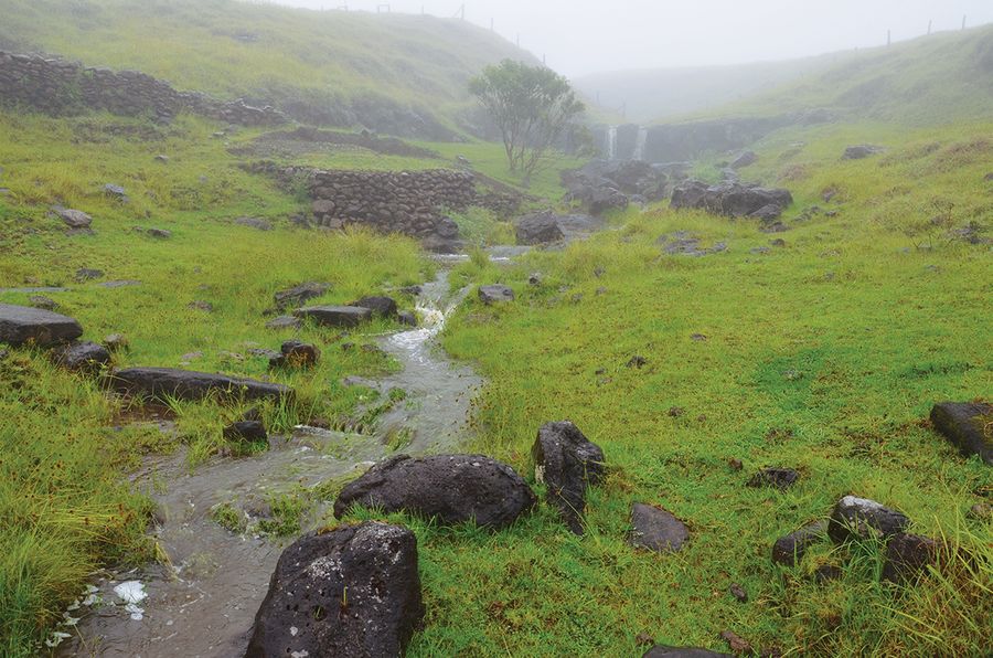 Slightly foggy view of the walls and channels [hydraulic architecture] that helped manage the island’s only seasonal stream. Image provided by Annette Kühlem/DAI.