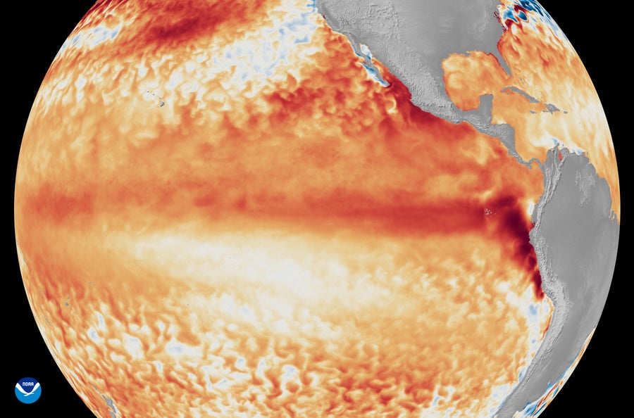 https://static.scientificamerican.com/dam/asset/72453b1b-3908-436d-a20b-f33e1a433be6/SSTA_1stweekJune2026.jpg?m=1781185393.933&w=900