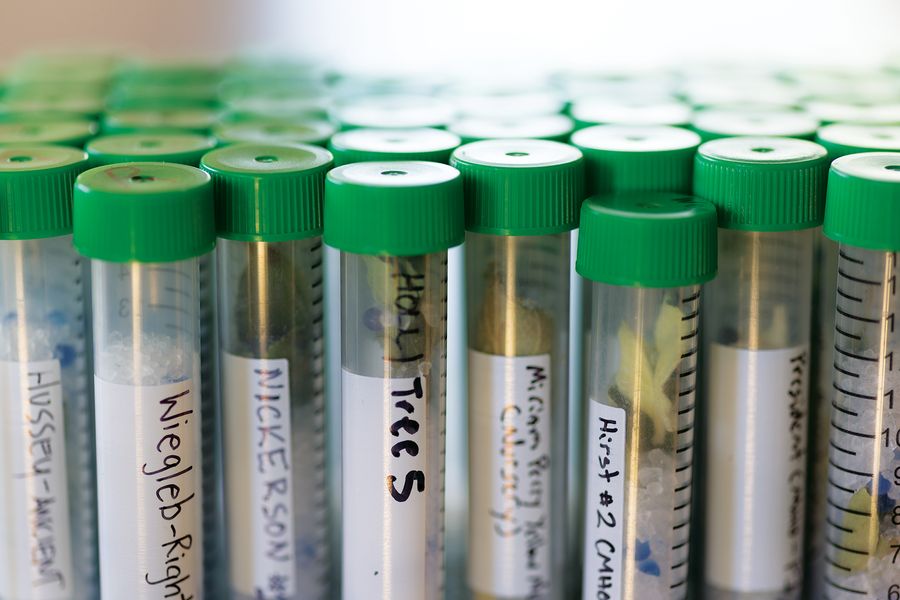 Rows of clear tubes with green lids are labeled with writing in black marker.