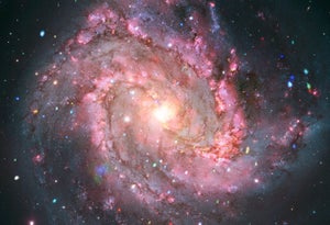 Galaxy M83 appears as a mass of pink dust and stars in x-ray and optical light.