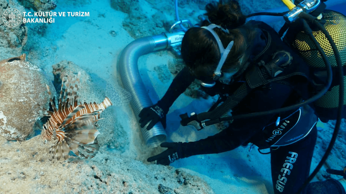 Scientists discover an ancient shipwreck dating to when the Great Pyramid was built