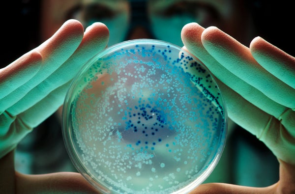 a pair of hands hold a dish full of little spots of bacterial colonies forward to the camera.