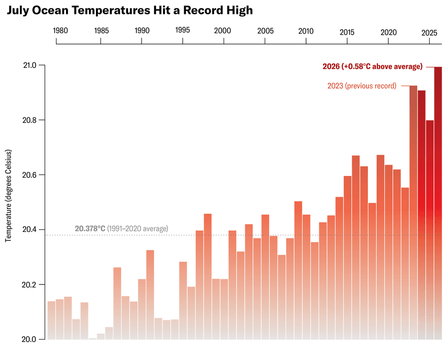 Bar chart of average July ocean surface temperatures for 1979–2026. Values climb from about 20.1 degrees Celsius in the 1980s to a record average of 20.96 degrees C in July 2026—0.58 degree C above the 1991–2020 average. The four hottest Julys all occur from 2023 to 2026.